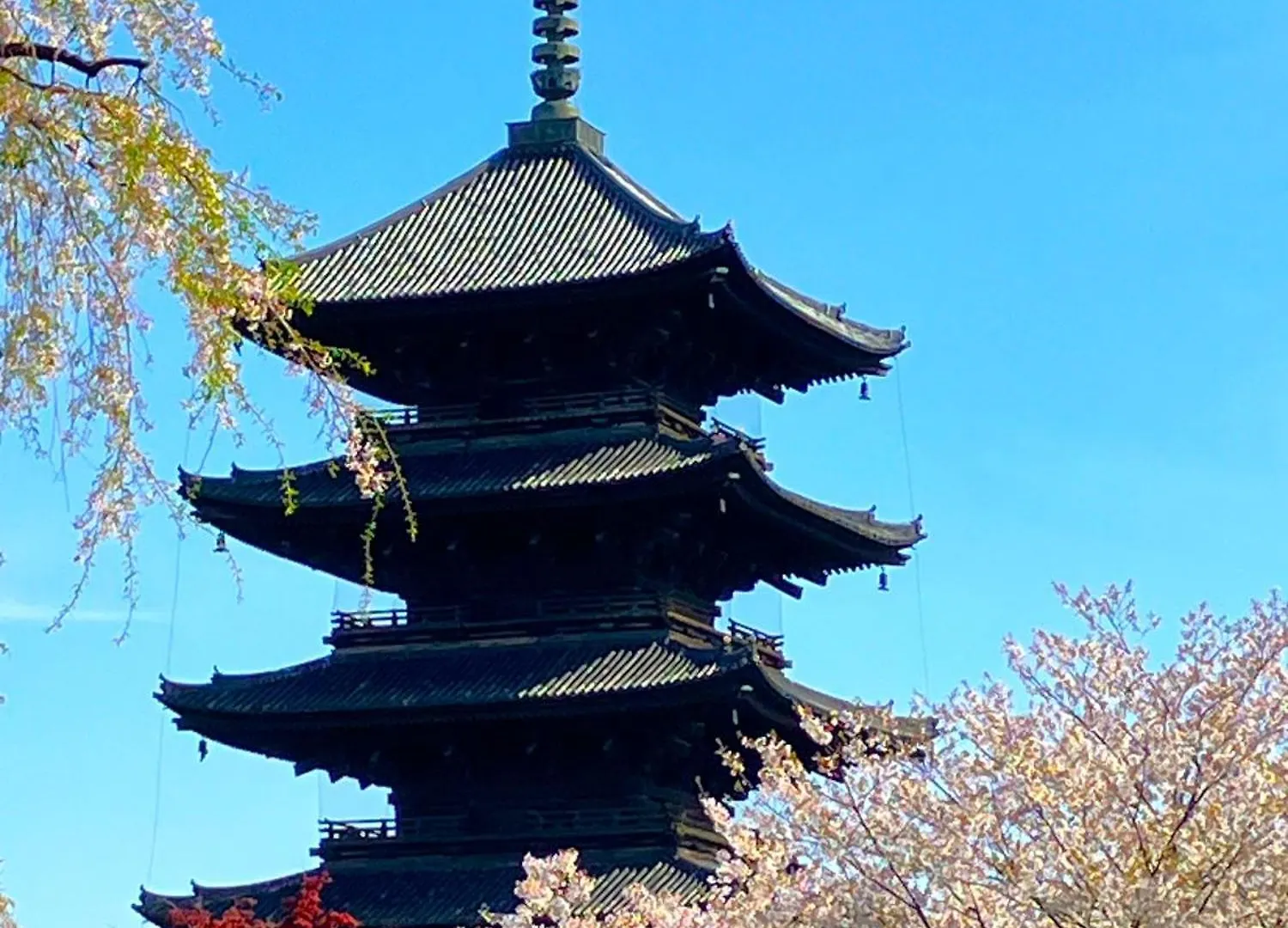 Premium Toji Hotel Kyoto
